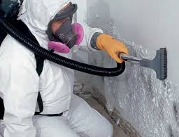 Best Airborne Mold Testing  in Cedar Knolls, NJ